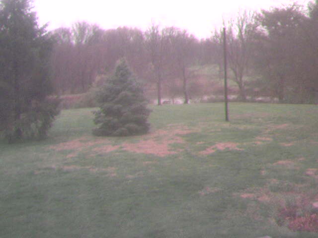 WebCam1