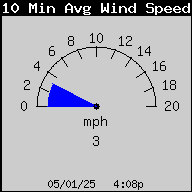 10 Minute Wind Speed