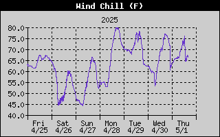 Wind Chill History